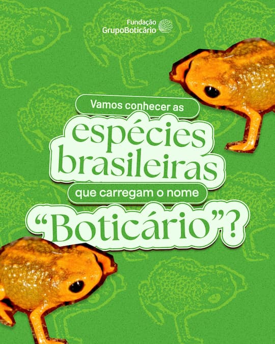 Vamos conhecer as espécies brasileiras que carregam o nome boticário