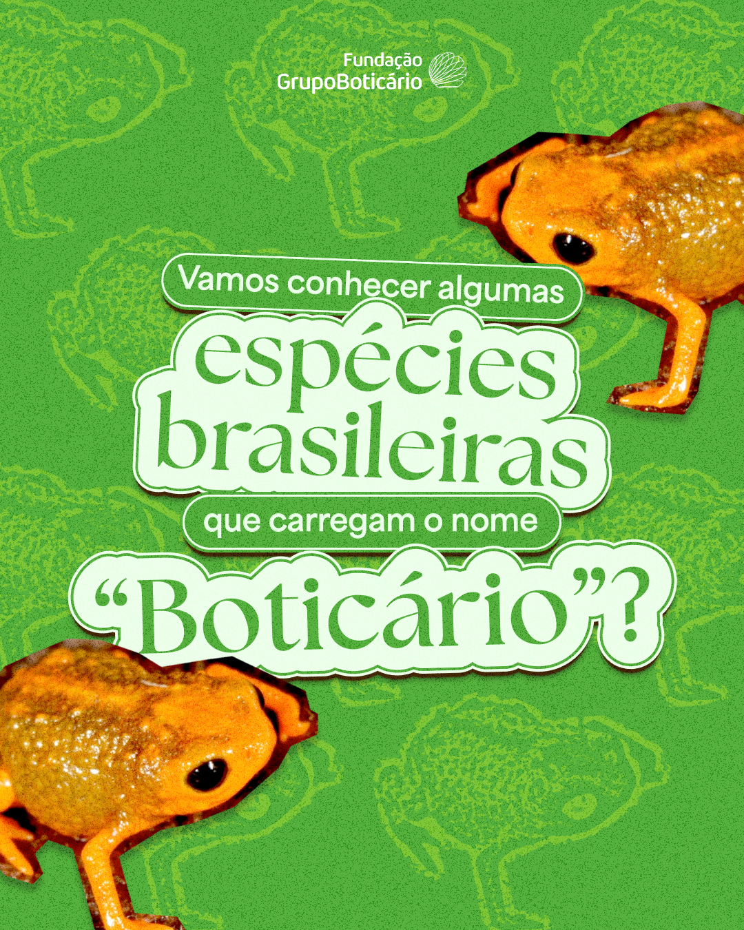 Card biodiversidade