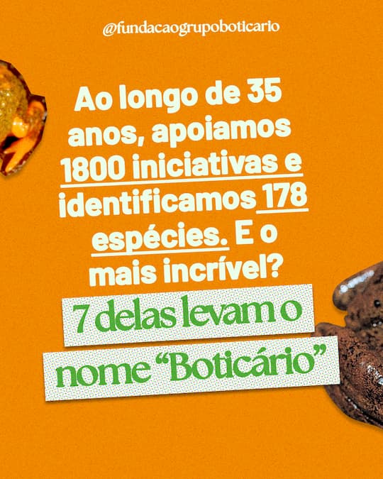 Ao longo de 35 anos, apoiamos 1800 iniciativas e identificamos 178 espécies. E o mais incrível é que sete delas levam o nome boticário.