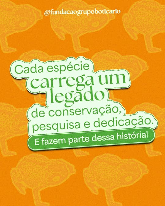 Cada espécie carrega um legado de conservação, pesquisa e dedicação. E fazem parte dessa história!