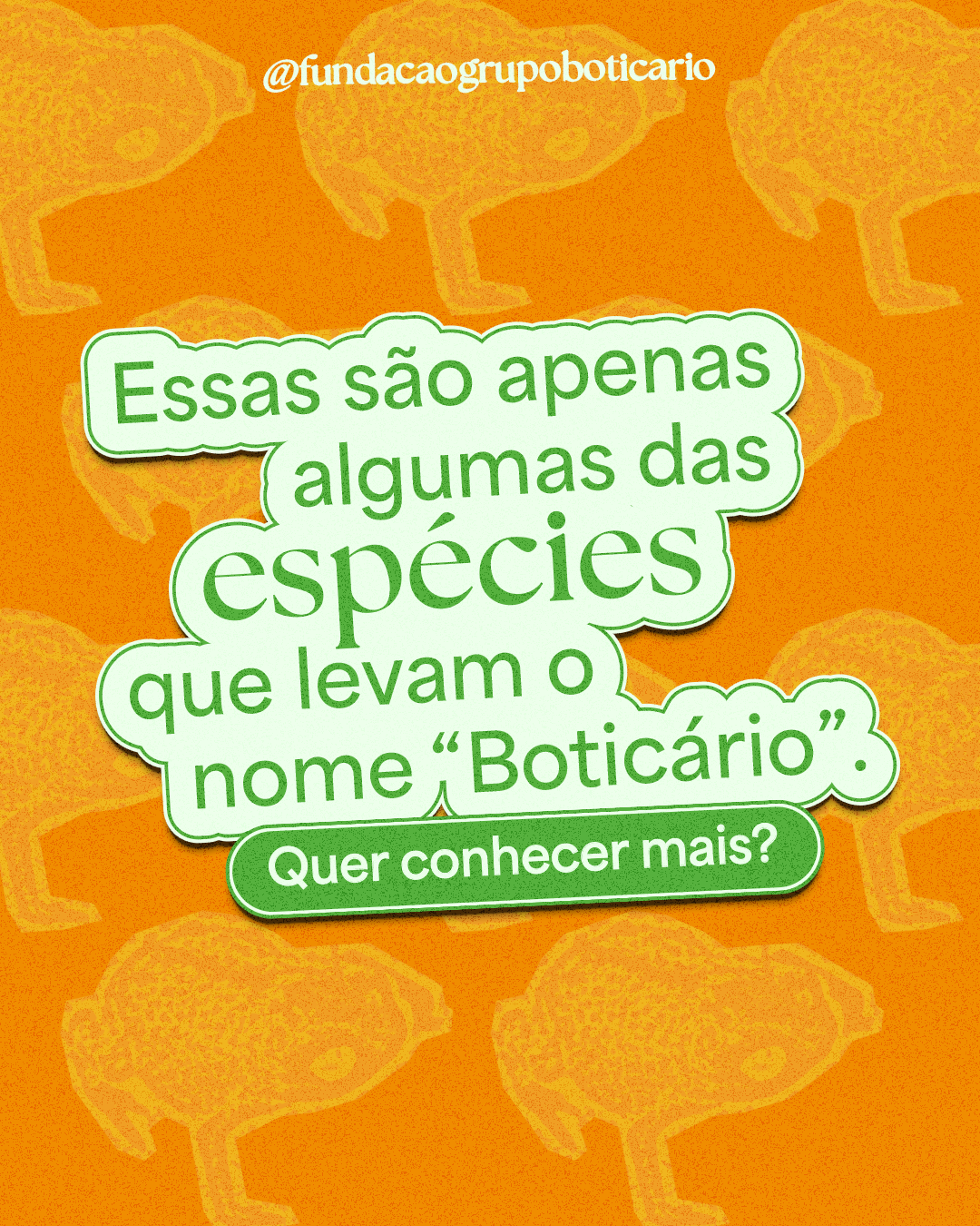 Card biodiversidade