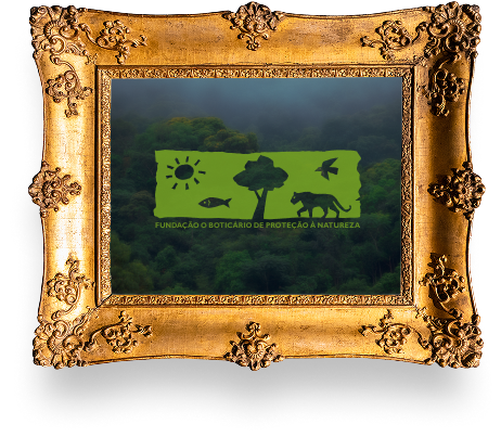 Quadro biodiversidade