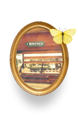 Quadro biodiversidade