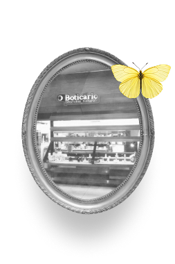 Quadro biodiversidade