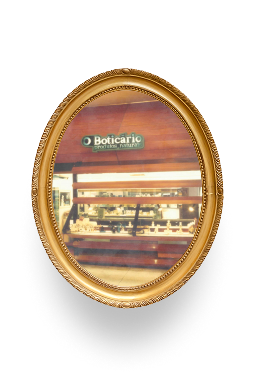 Quadro biodiversidade