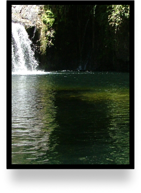 Quadro biodiversidade