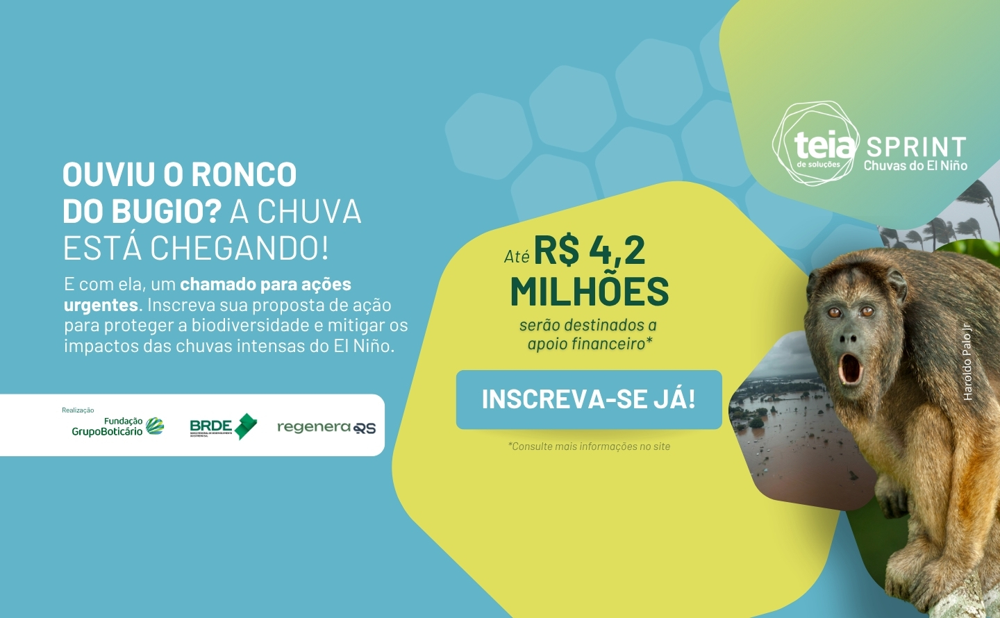 Inscrições abertas - Teia Sprint Chuvas do El Niño!