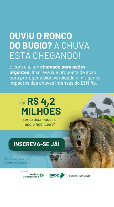 Inscrições abertas - Teia Sprint Chuvas do El Niño!