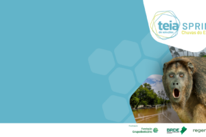 Inscrições abertas - Teias Sprint Chuvas do El Niño