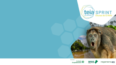 Inscrições abertas - Teias Sprint Chuvas do El Niño